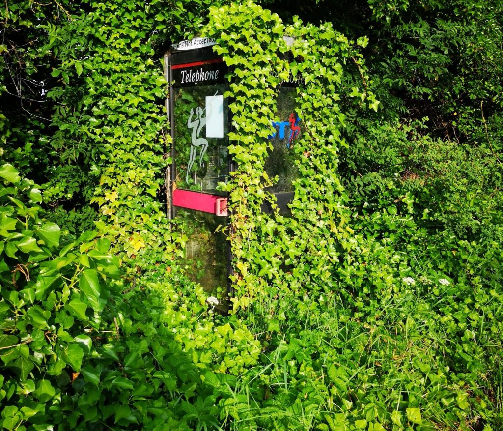 Phone box under ivy. Vibrant green-phlegm-colour suggests something growing or developing, overcoming the body's defence.