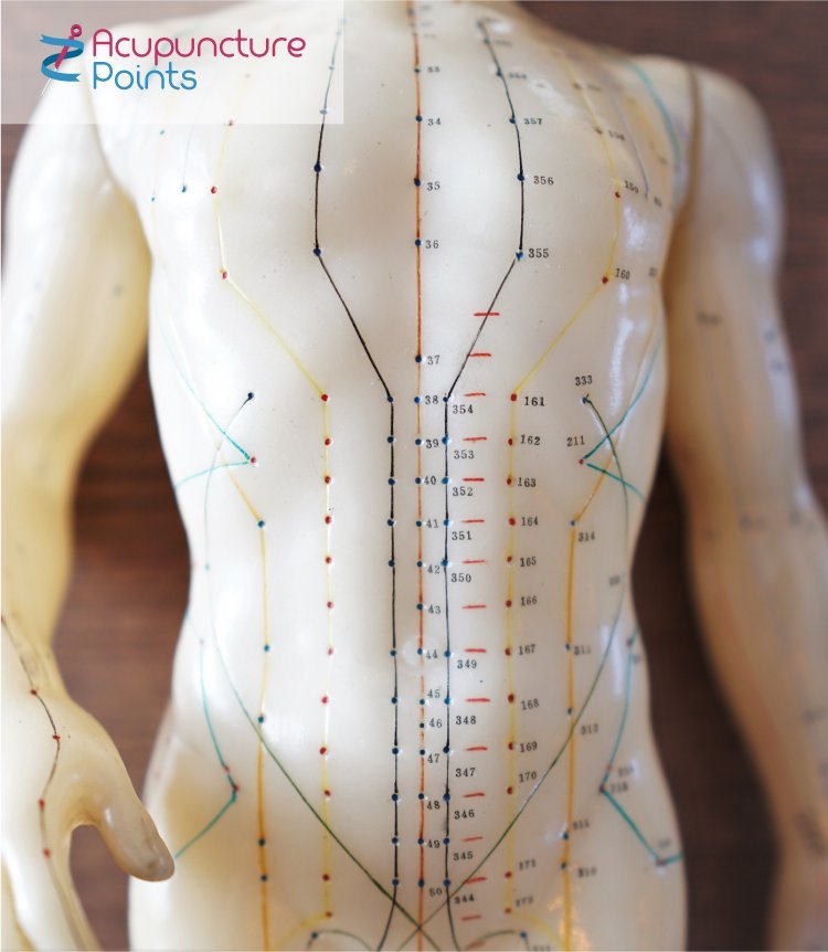 Points and channels underly acupuncture theory