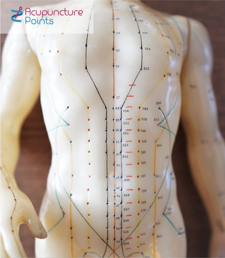 Acupuncture Theory Complex And Fascinating Acupuncture Points