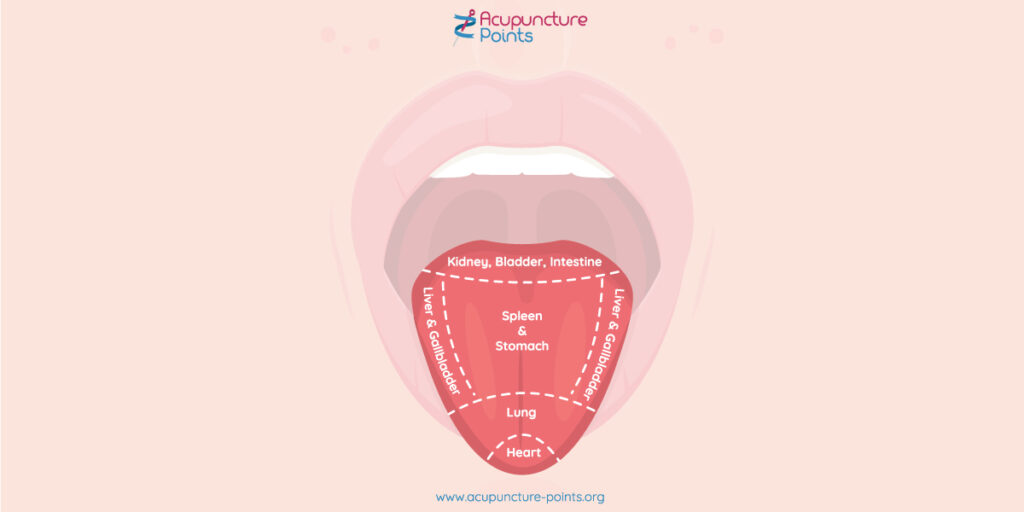 Chinese Medicine Tongue
