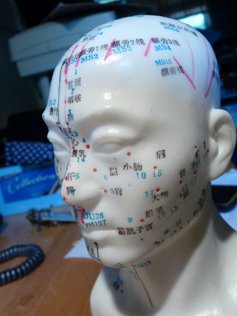 Model head for acupuncture medicine