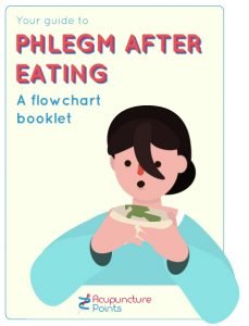 Phlegm After Eating Booklet Cover