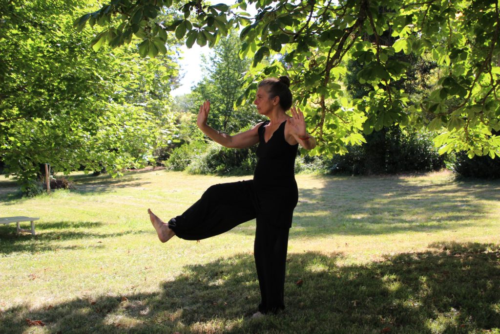 Tai chi for Heart Qi deficiency: woman in black sleeveless dress standing under green tree during daytime