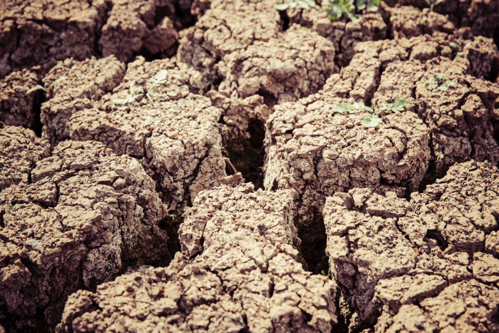cracked brown soil - dryness is often a symptom of yin deficiency, potentially leading to Empty Wind agitating the Interior