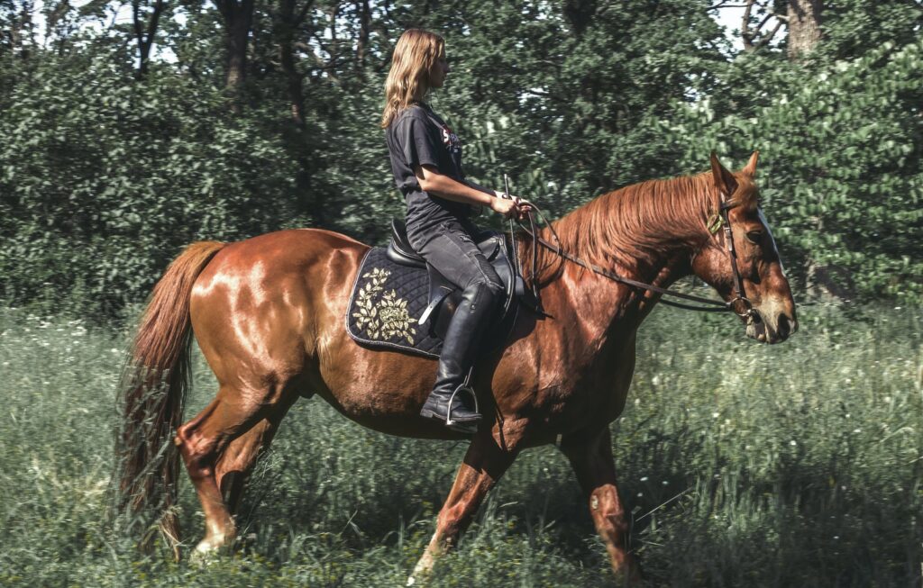 woman in black jacket riding brown horse during daytime: great for easing liver qi stagnation