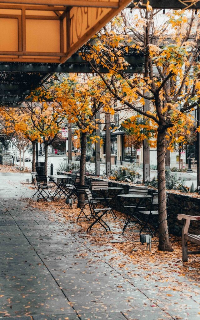 autumn leaves with tables for coffee