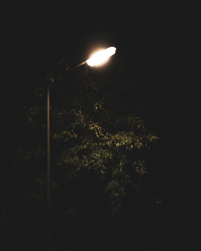 turned-on post lamp beside tree