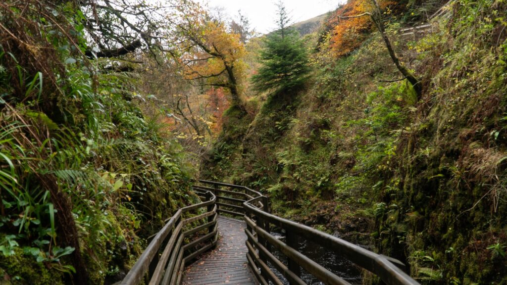 brown wooden bridge on mountain