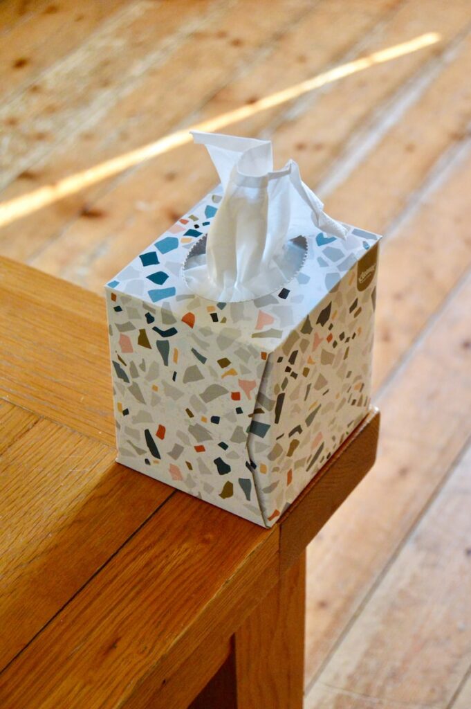 white and blue floral tissue box: something to help with Damp-Heat
