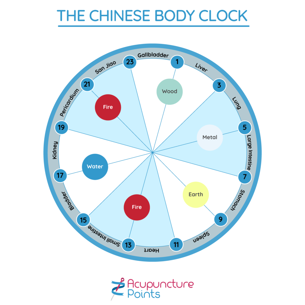 Illustration of the Chinese Body Clock, showing the flow of energy through the body's organs in a 24-hour cycle, with each organ highlighted during its peak function time. The clock emphasizes the connection between organ systems and specific times of day, such as the Liver at 1-3 AM and the Stomach at 7-9 AM