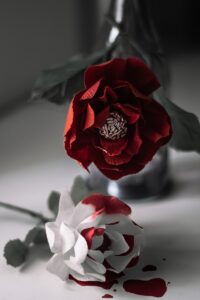 red rose in gray scale